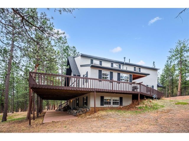 410 Spring Dr, Pine, CO 80470