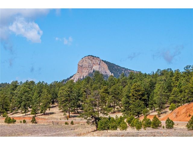 410 Spring Dr, Pine, CO 80470