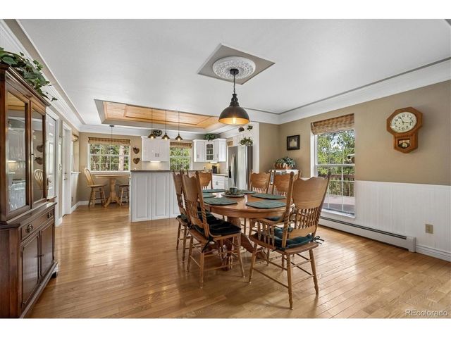 410 Spring Dr, Pine, CO 80470