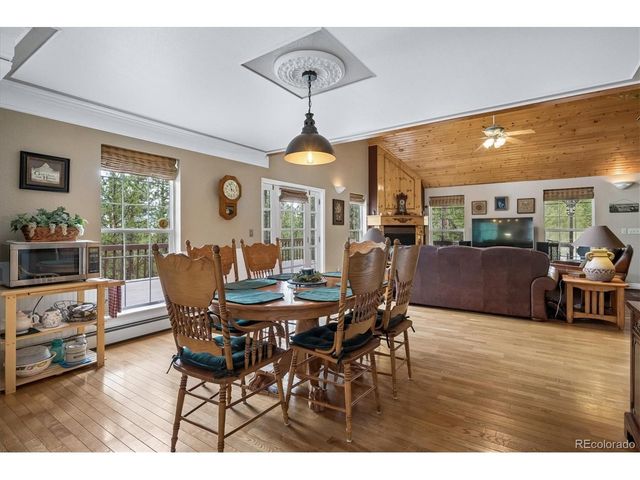 410 Spring Dr, Pine, CO 80470
