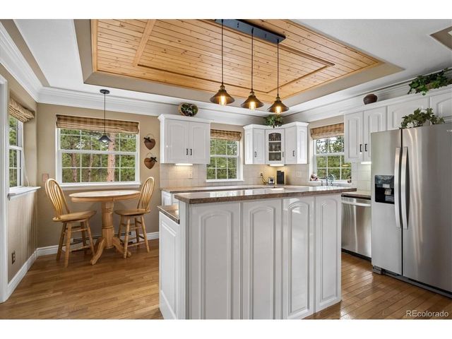 410 Spring Dr, Pine, CO 80470