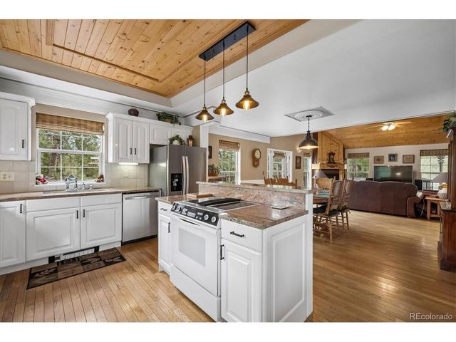 410 Spring Dr, Pine, CO 80470