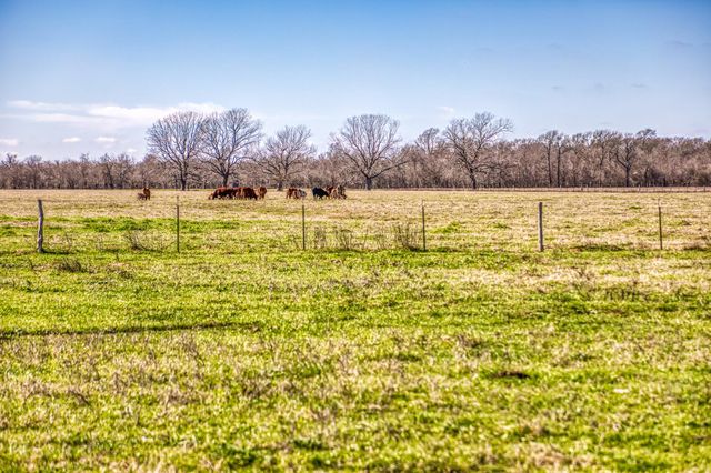 0000 Steck Bottom Road, Sealy, TX 77474