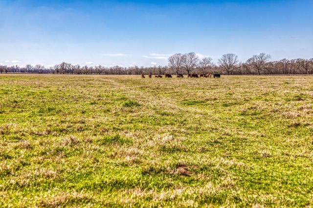 0000 Steck Bottom Road, Sealy, TX 77474