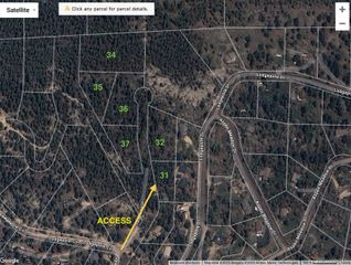 32561 Lodgepole Drive, Evergreen, CO 80439