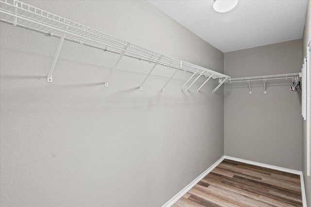 283 Black Forest RD, Buda, TX 78610