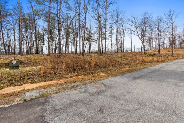 Lot 162 Ridge Drive, Morganton, GA 30560
