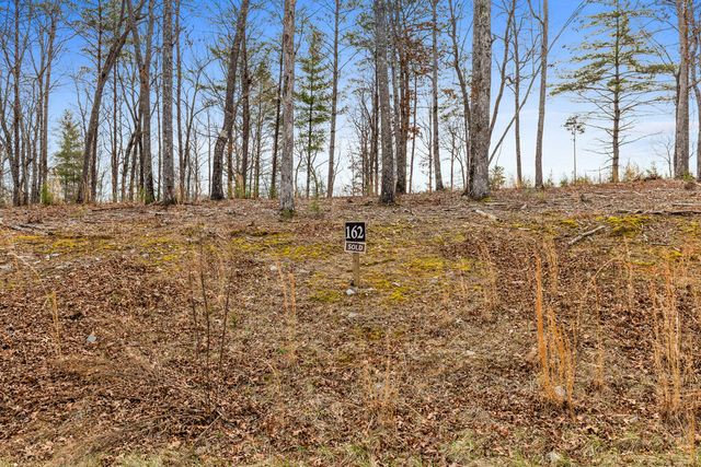 Lot 162 Ridge Drive, Morganton, GA 30560