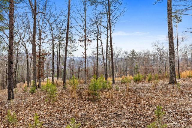 Lot 162 Ridge Drive, Morganton, GA 30560