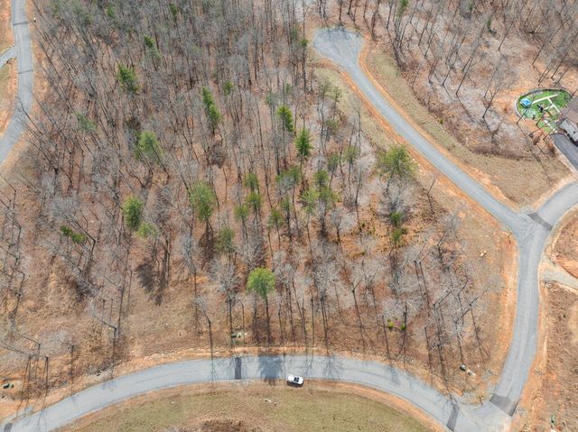 Lot 162 Ridge Drive, Morganton, GA 30560