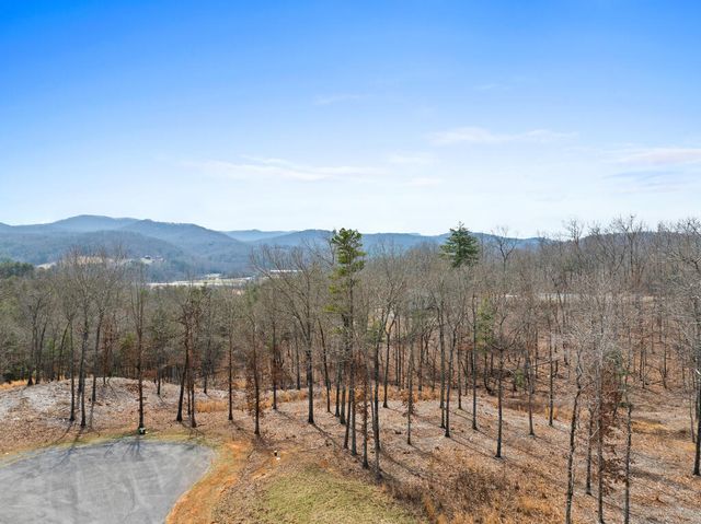 Lot 162 Ridge Drive, Morganton, GA 30560