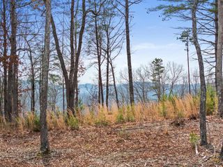 Lot 162 Ridge Drive, Morganton, GA 30560