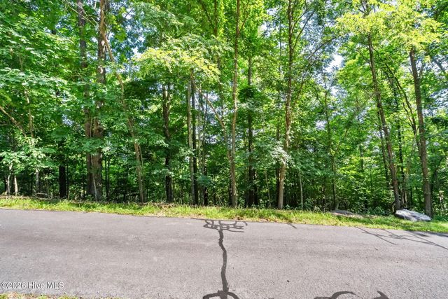 46 Buck Ridge Drive, Murphy, NC 28906