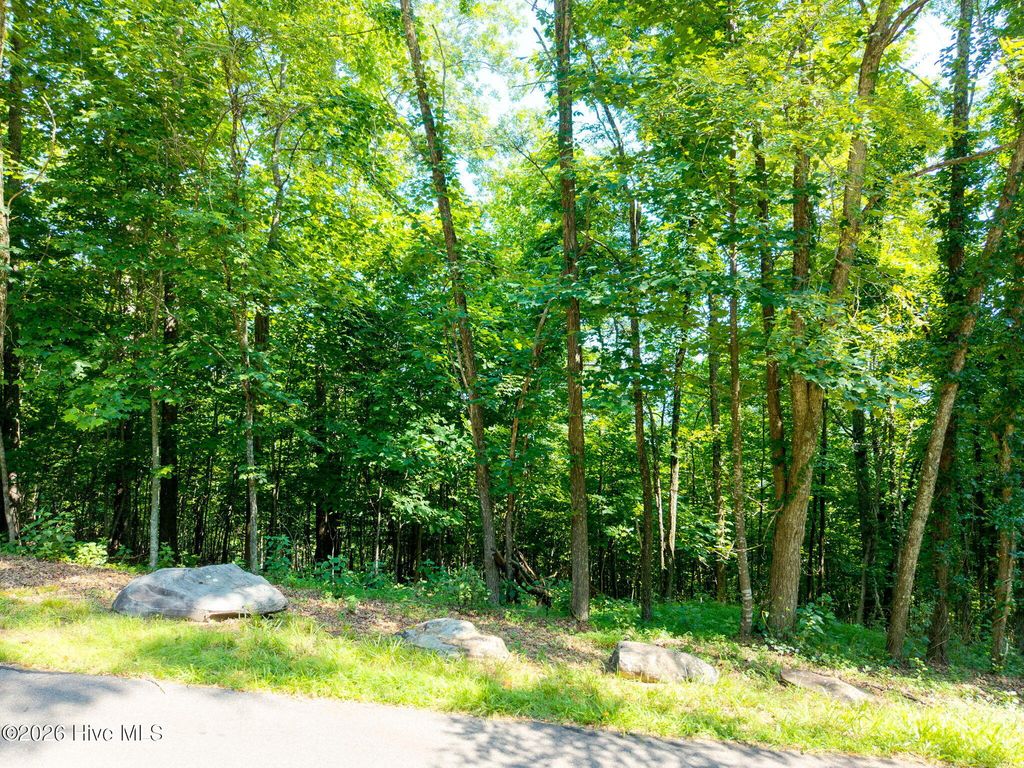 46 Buck Ridge Drive, Murphy, NC 28906