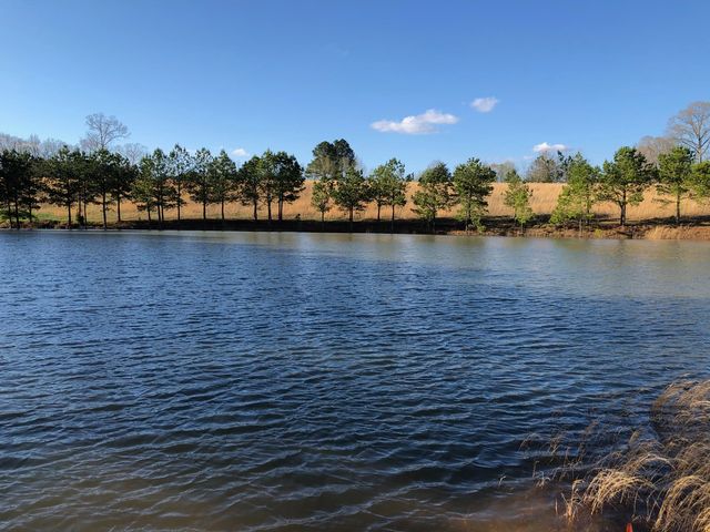 129 Leland Rd, Summertown, TN 38483