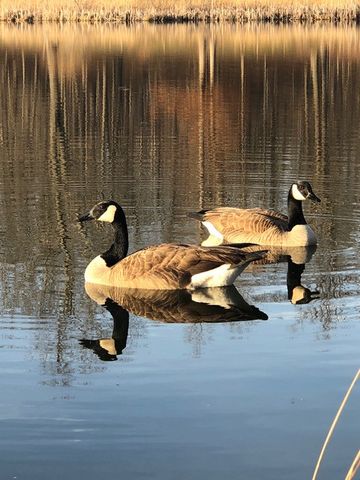 129 Leland Rd, Summertown, TN 38483