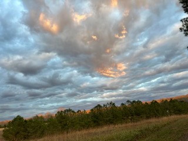 129 Leland Rd, Summertown, TN 38483