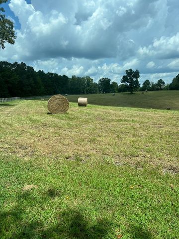 129 Leland Rd, Summertown, TN 38483