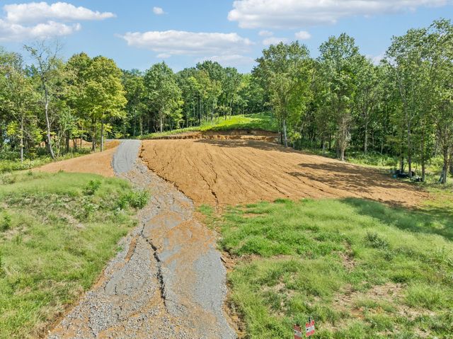 0 Cross Keys Road, College Grove, TN 37046