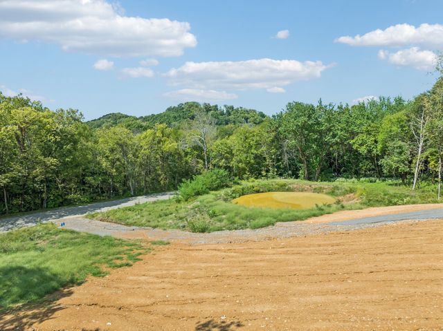 0 Cross Keys Road, College Grove, TN 37046