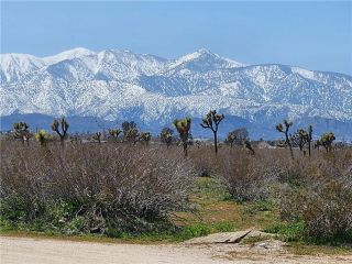 0 Bear Valley, Victorville, CA 92392