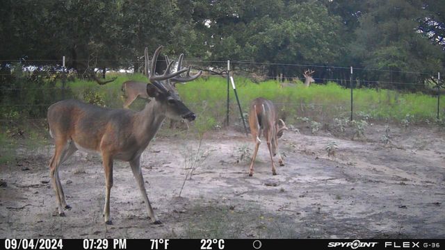 TBD Fm-1702, Gustine, TX 76455