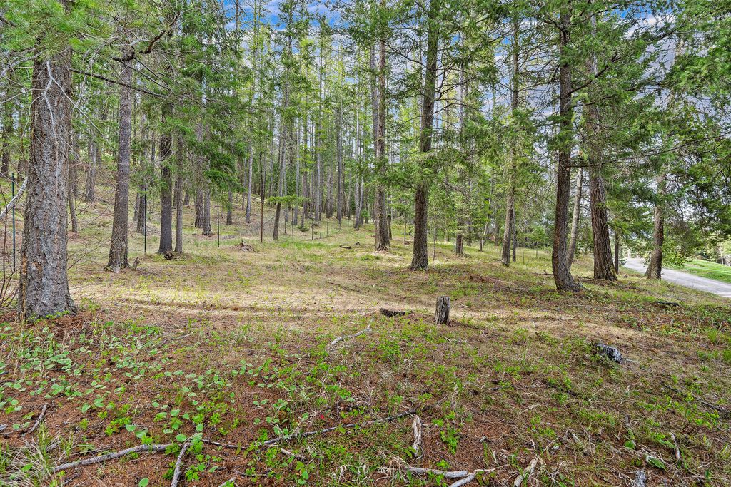 310 Rocky Woods Lane, Bigfork, MT 59911 photo 143