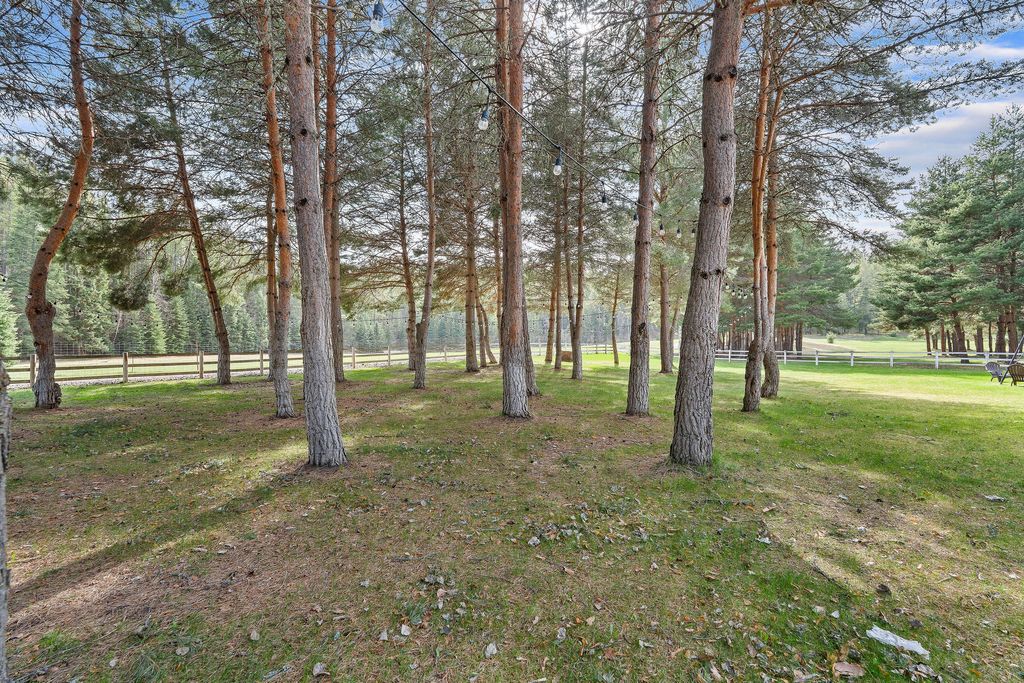 310 Rocky Woods Lane, Bigfork, MT 59911 photo 144