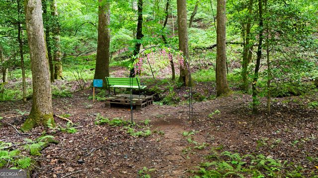 141 Cady Lane, Cleveland, GA 30528