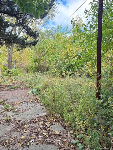5235 Chalmers Street E, Detroit, MI 48213