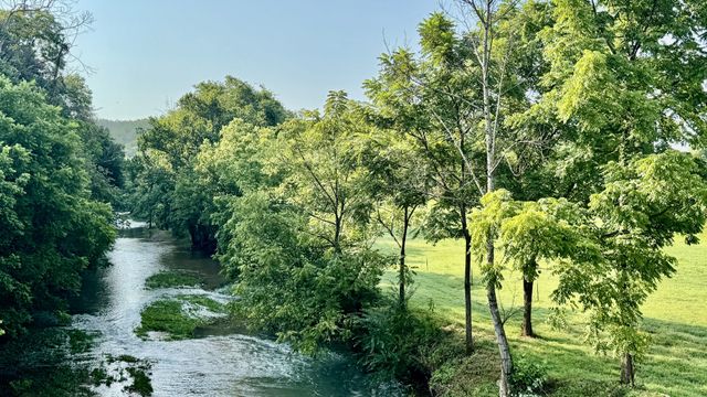 4035 S Forty Eight Creek Rd, S, Waynesboro, TN 38485