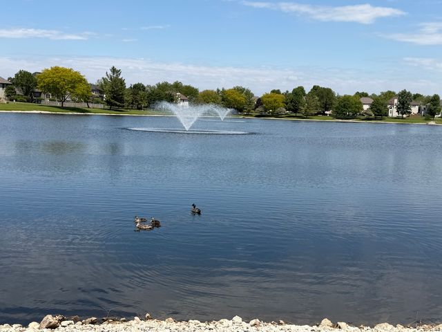 2119 W Thornwood Drive, South Elgin, IL 60177