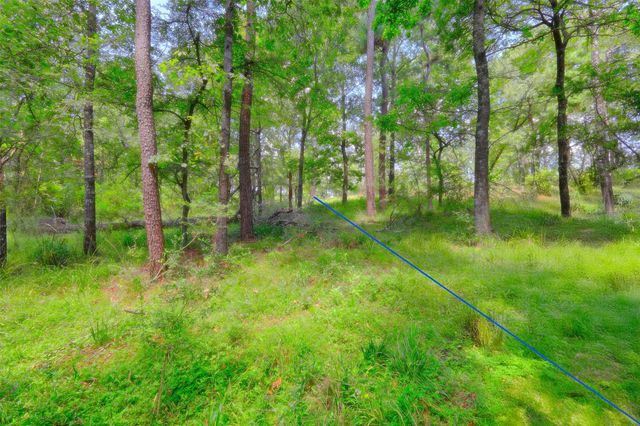 TBD Windy Oaks, Huntsville, TX 77320