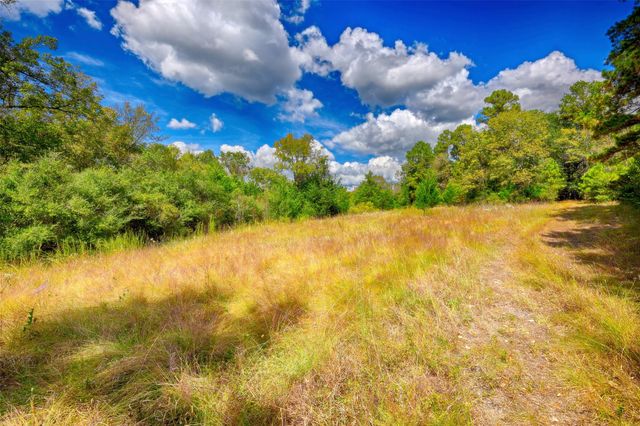 TBD Windy Oaks, Huntsville, TX 77320