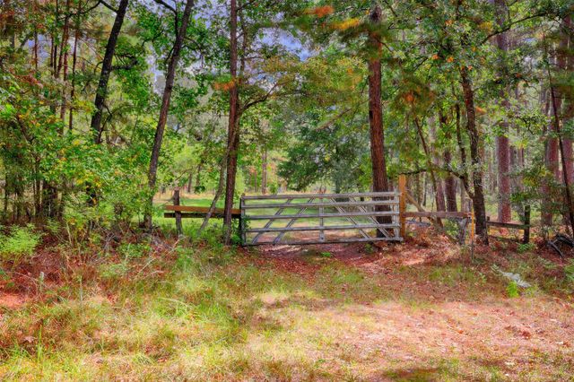 TBD Windy Oaks, Huntsville, TX 77320