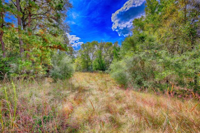 TBD Windy Oaks, Huntsville, TX 77320