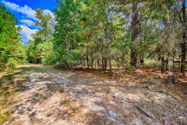 TBD Windy Oaks, Huntsville, TX 77320