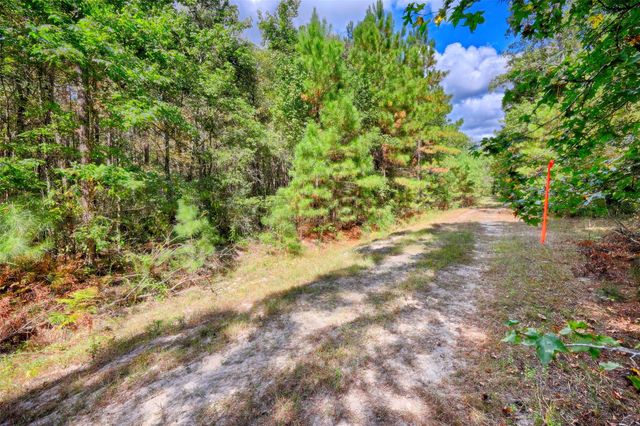 TBD Windy Oaks, Huntsville, TX 77320