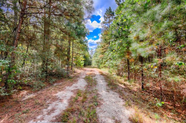 TBD Windy Oaks, Huntsville, TX 77320