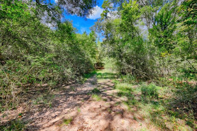 TBD Windy Oaks, Huntsville, TX 77320