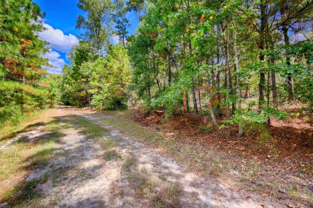 TBD Windy Oaks, Huntsville, TX 77320