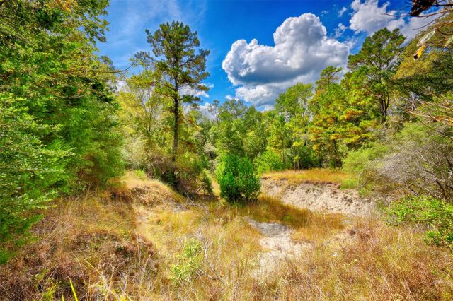 TBD Windy Oaks, Huntsville, TX 77320