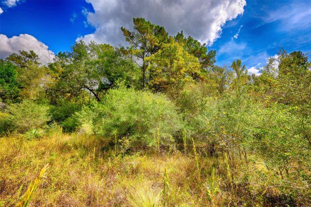 TBD Windy Oaks, Huntsville, TX 77320