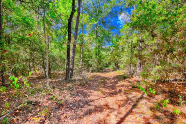 TBD Windy Oaks, Huntsville, TX 77320