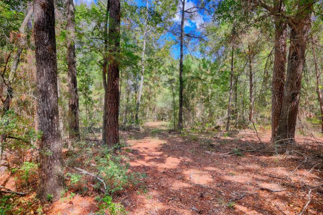 TBD Windy Oaks, Huntsville, TX 77320