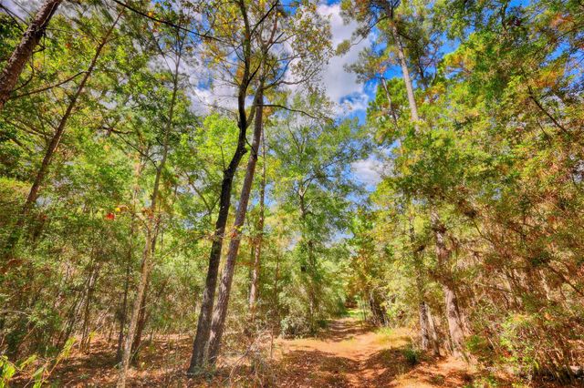 TBD Windy Oaks, Huntsville, TX 77320