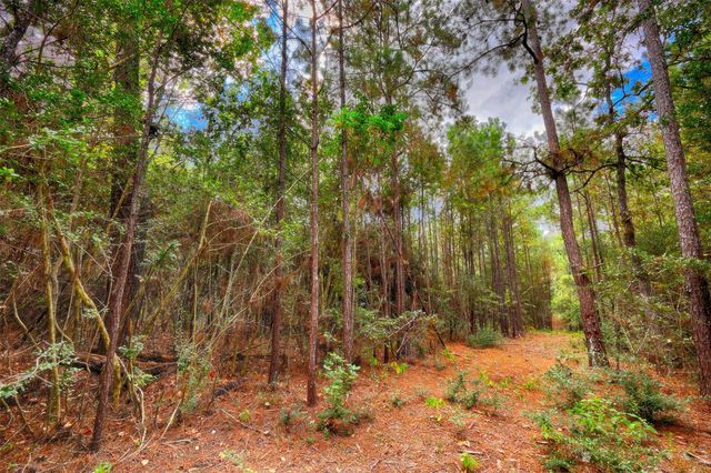 TBD Windy Oaks, Huntsville, TX 77320