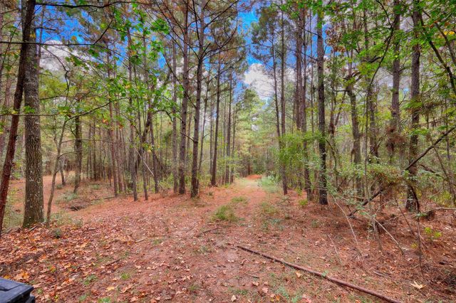 TBD Windy Oaks, Huntsville, TX 77320