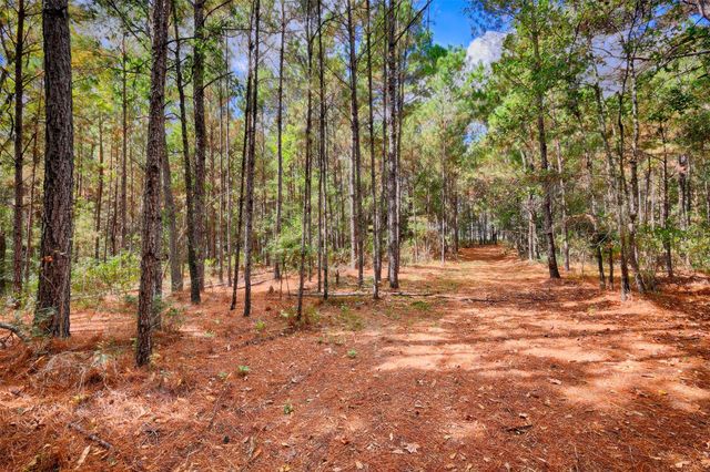 TBD Windy Oaks, Huntsville, TX 77320