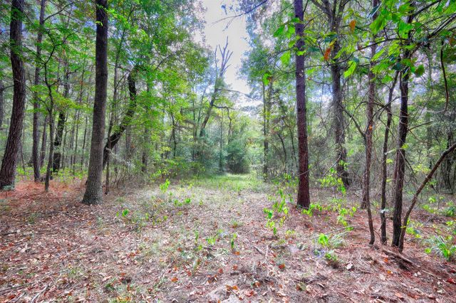 TBD Windy Oaks, Huntsville, TX 77320